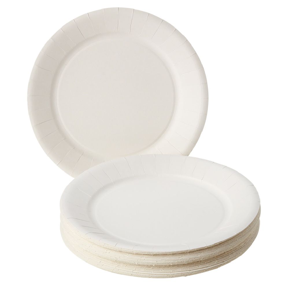 Lot De Assiettes En Carton Blanc Cm Gifi