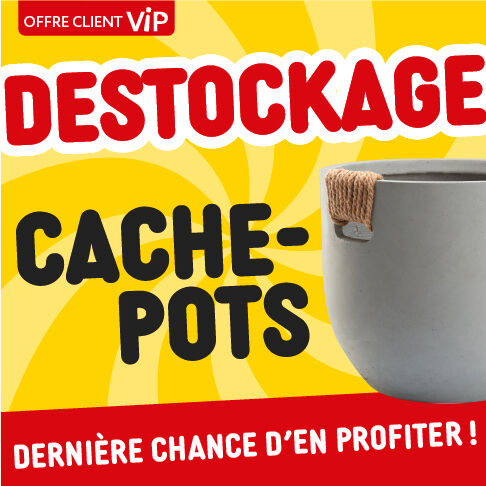 Destockage cache pots