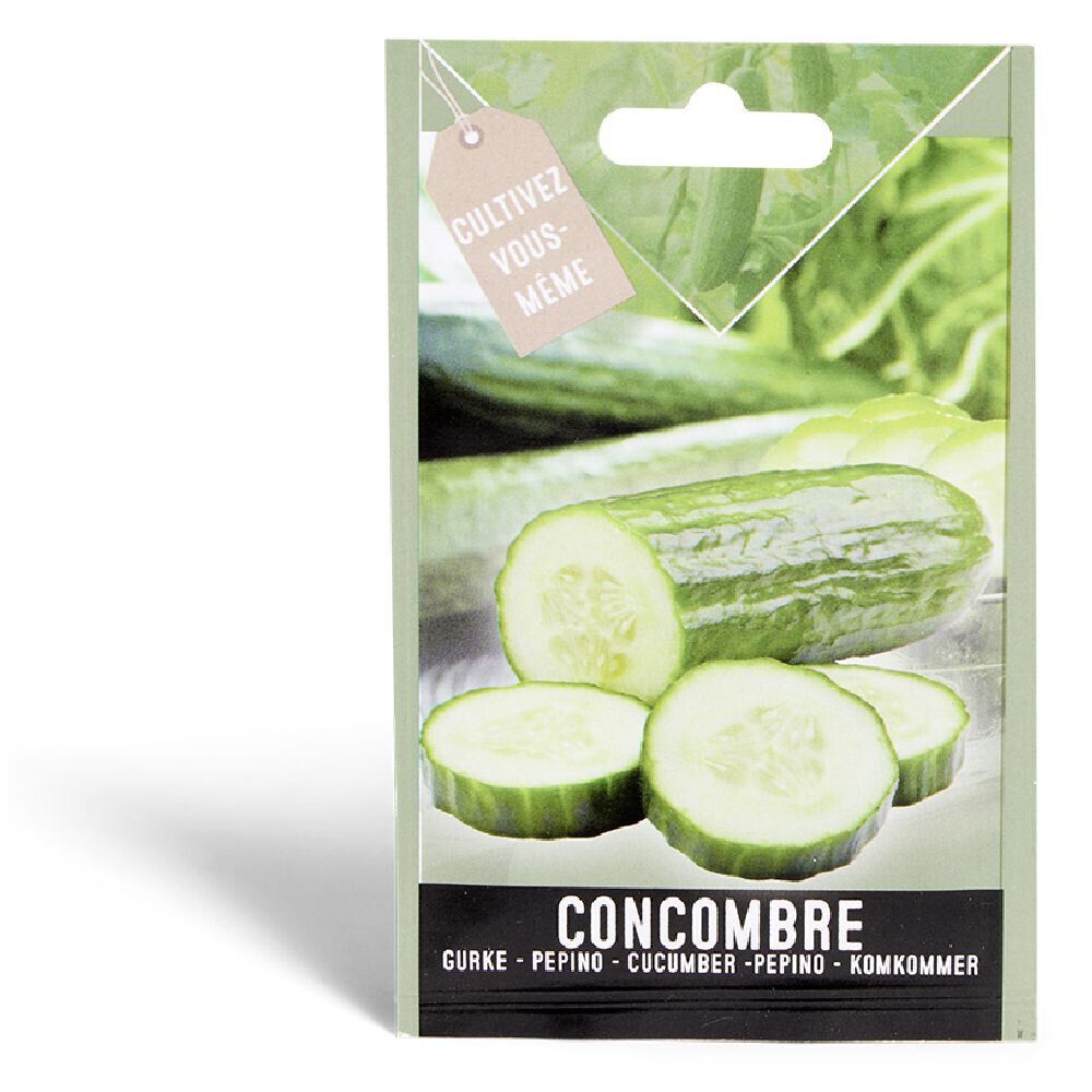 Semence concombre Marketmore 1g