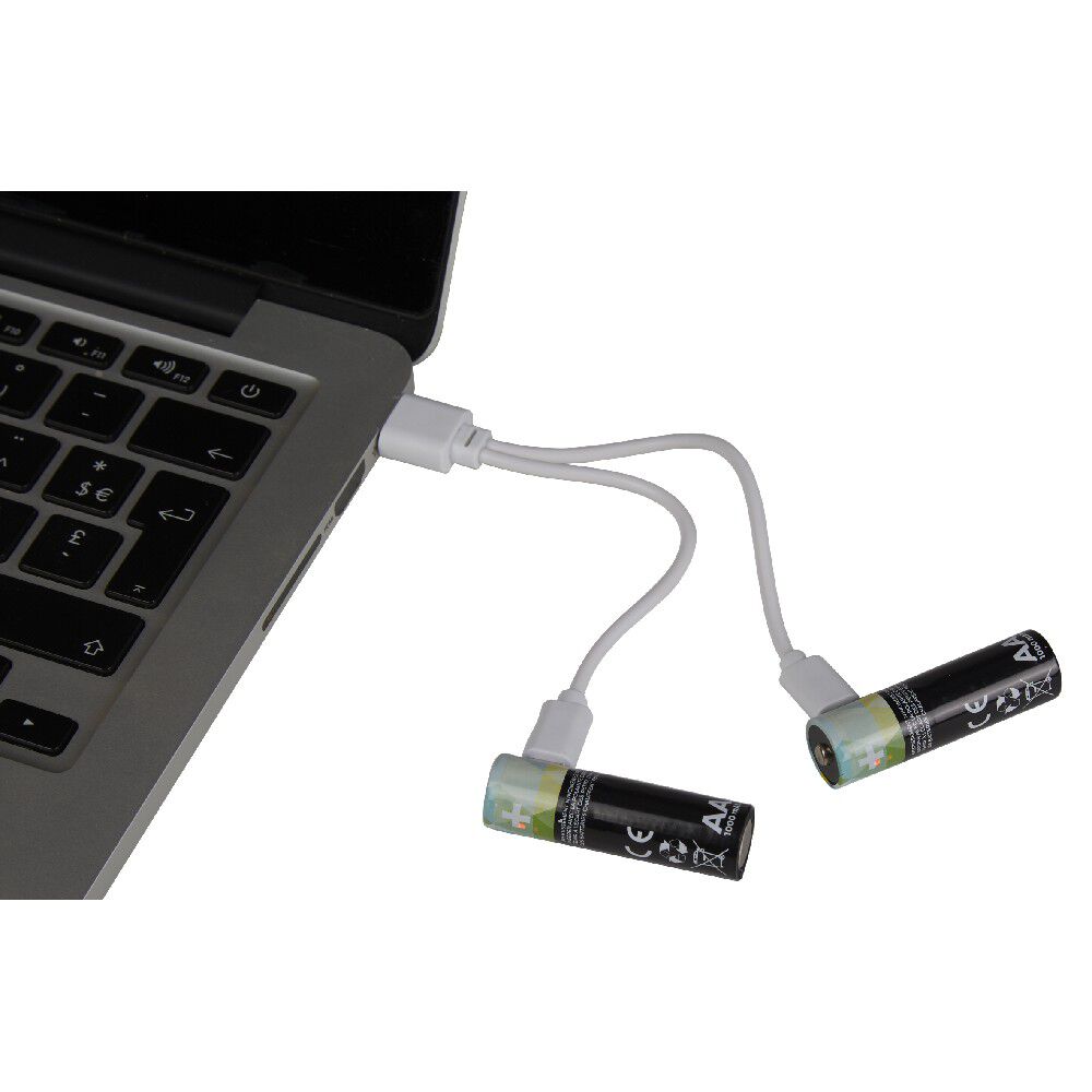 Pile rechargeable USB x4