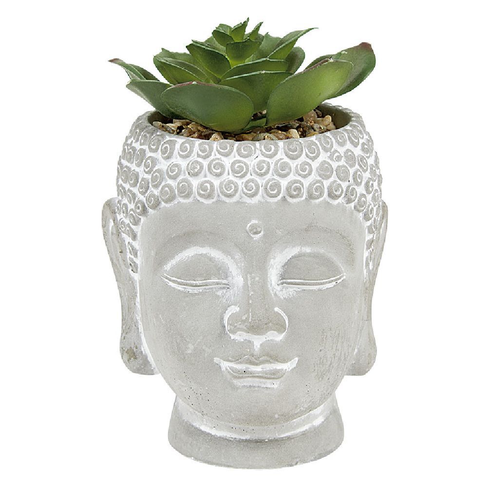 Plante artificielle tête de bouddha ciment