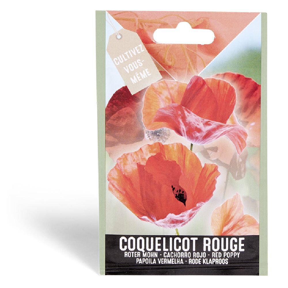 Semence coquelicot rouge 0,5g