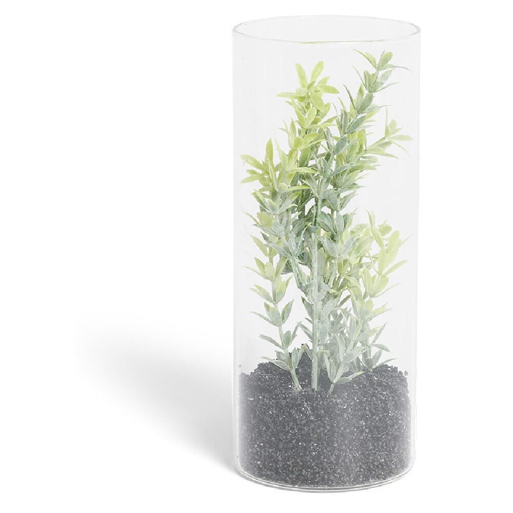 Plante grasse artificielle dans tube en verre Ø8xH19cm