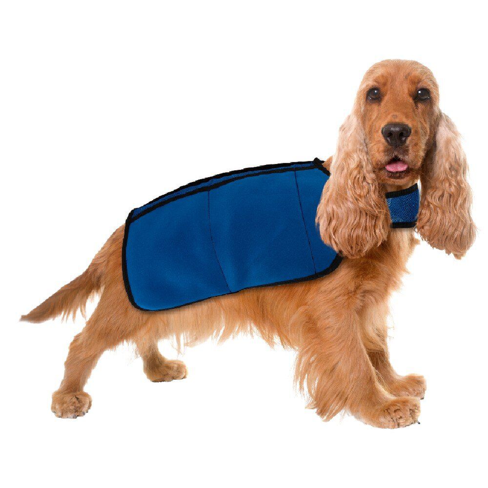 Veste rafraîchissante pour chien taille M