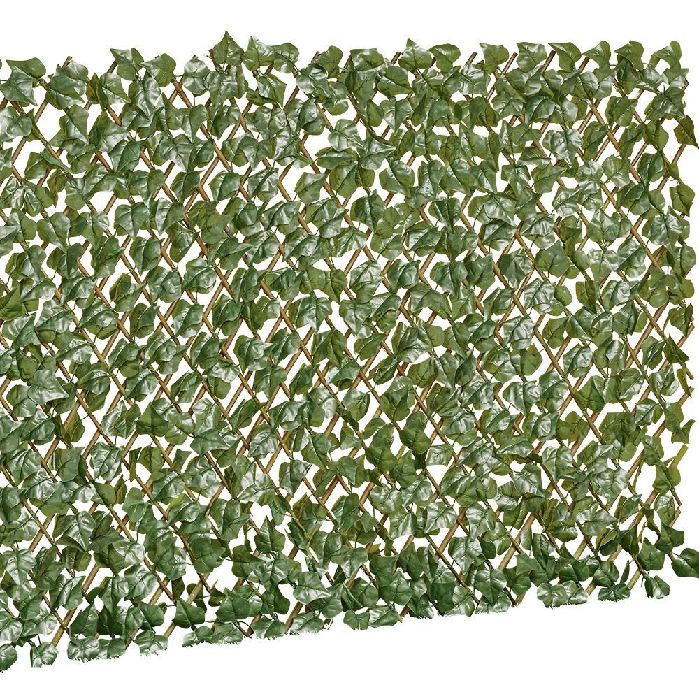 Treillis occultant osier avec feuillage vert