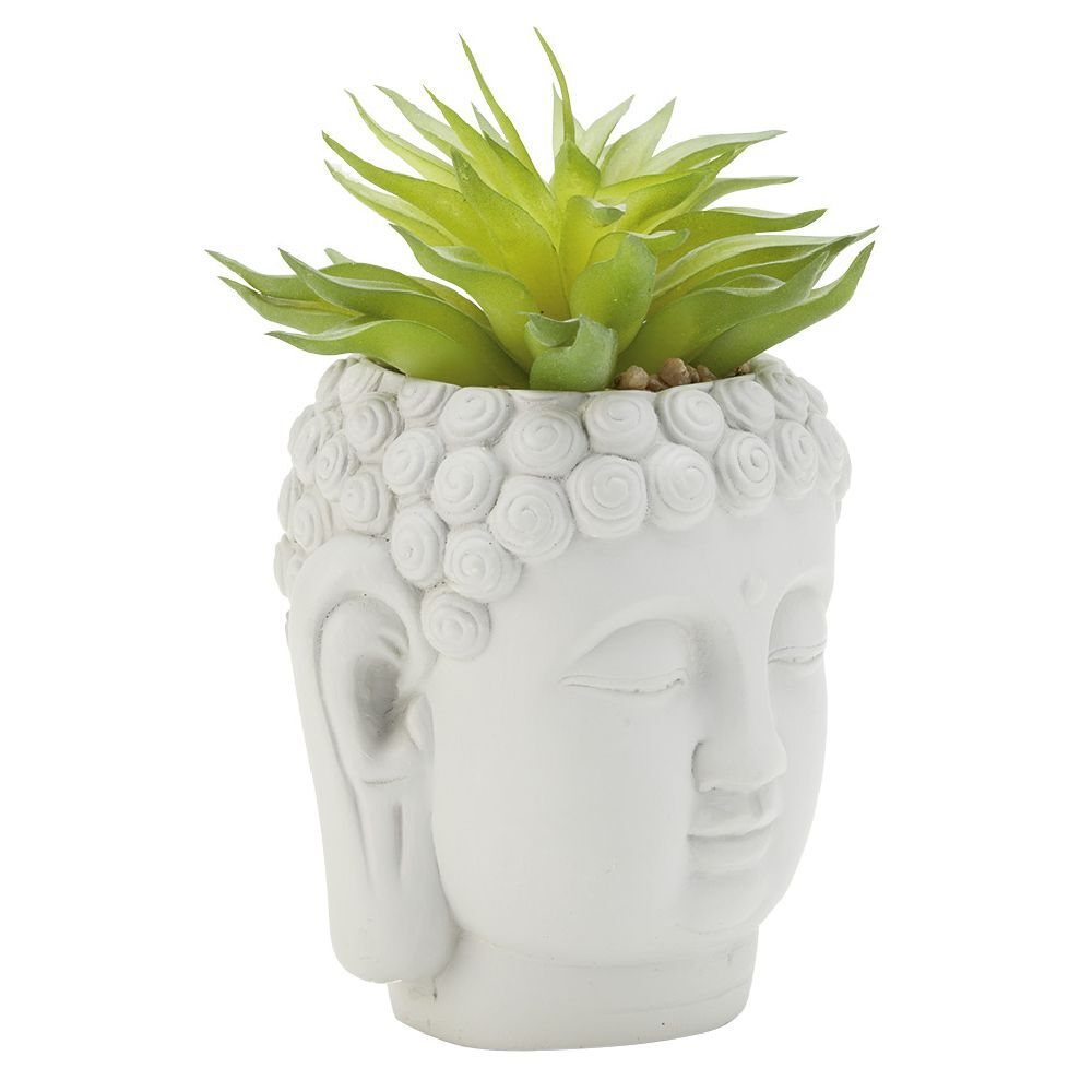 Tête Bouddha avec plante