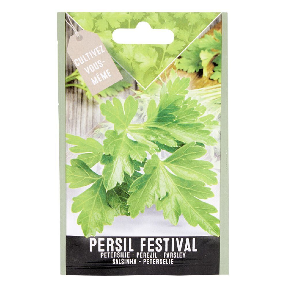 Semence persil Festival 1g