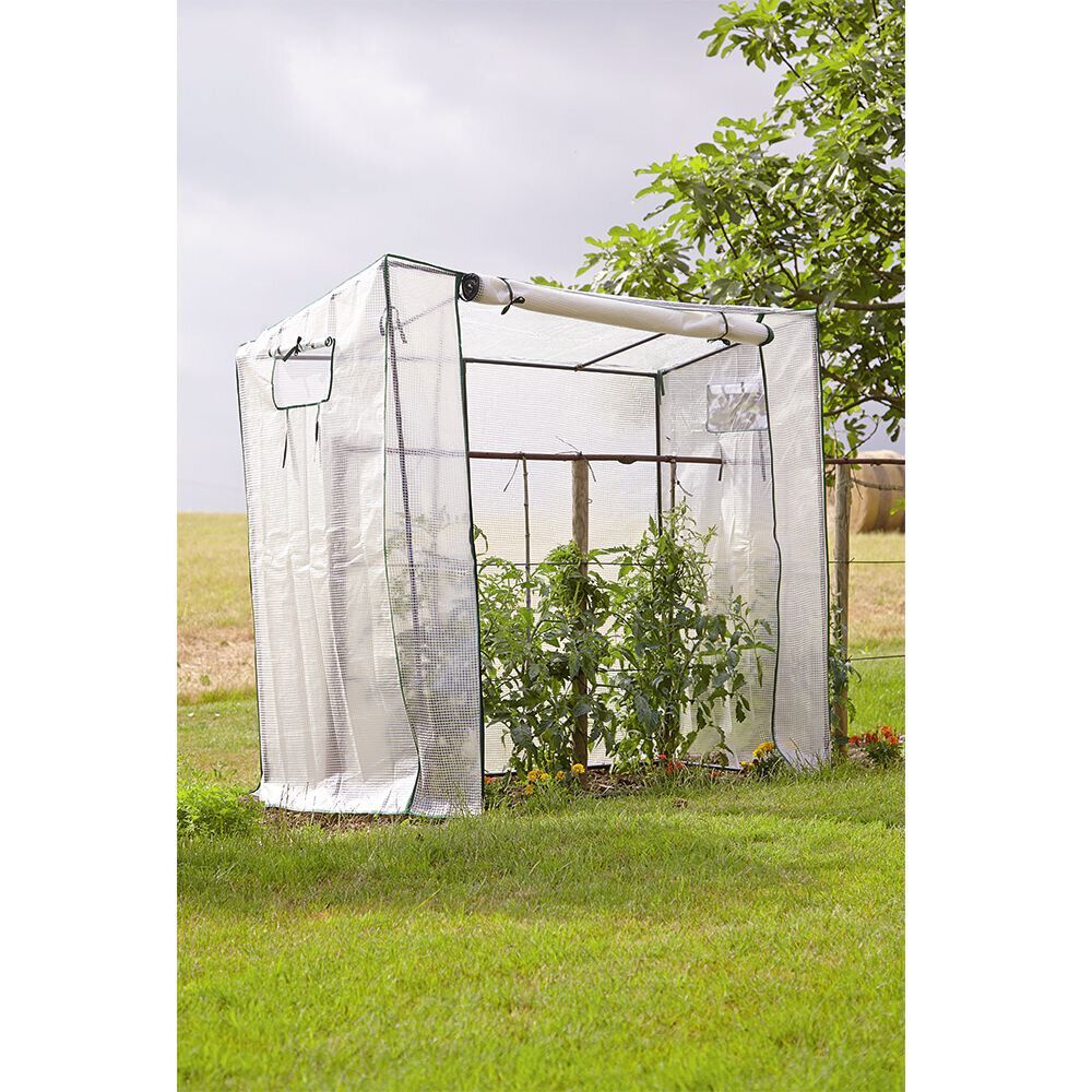 Serre à tomates transparente et verte 200x80xH169cm - 1,6m²