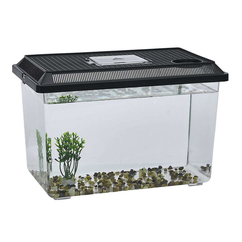 Kit aquarium vivarium avec gravier et plante L37x22xH24cm