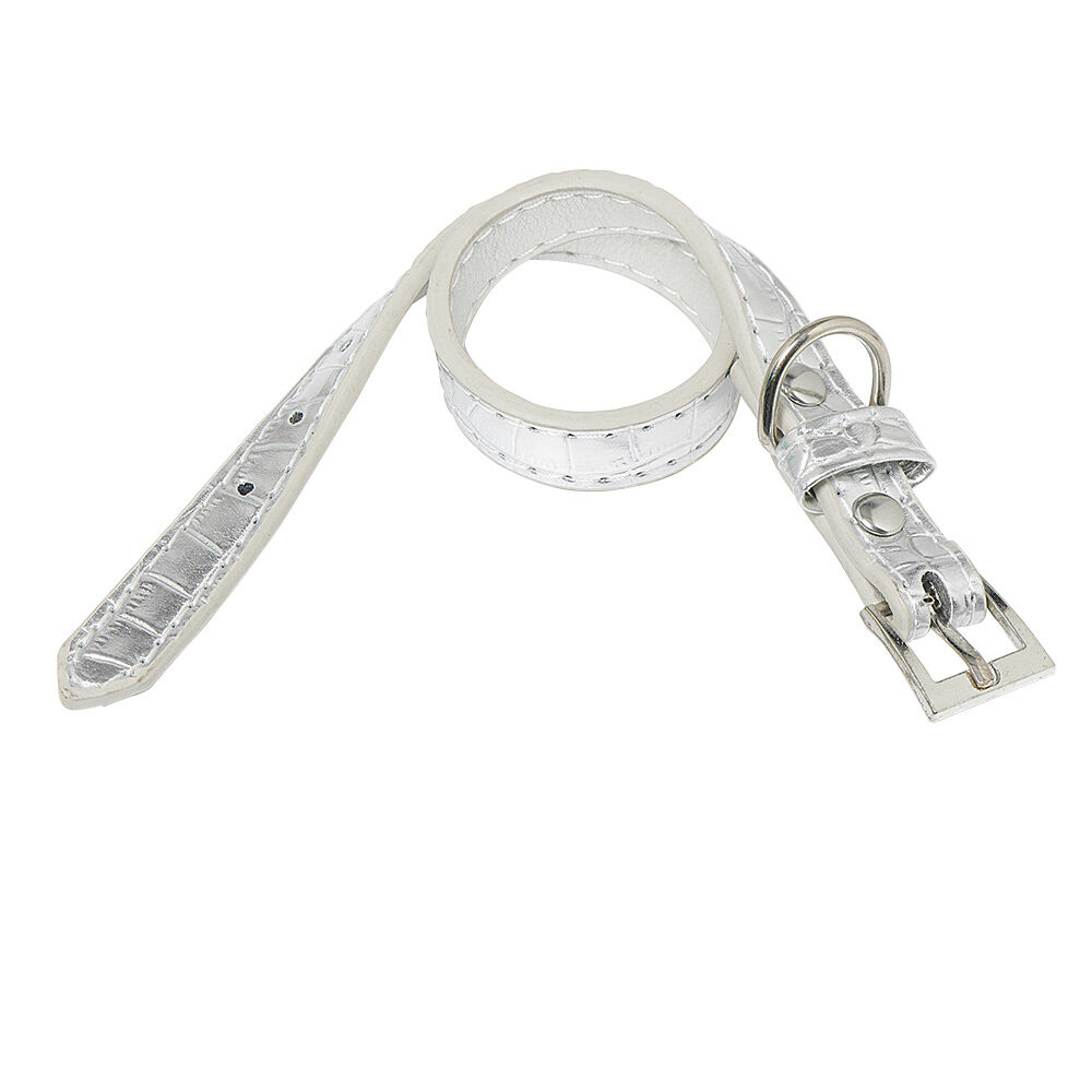 Collier pour chien plastique réglable gris brillant taille S