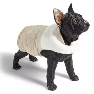 Vêtements chauds pour chiens de petite taille Pour petits chiens moyens  Pull de chat tricoté Vêtements pour animaux de compagnie pour Chihuahua  Bulldogs Puppy Costume Manteau Hiver